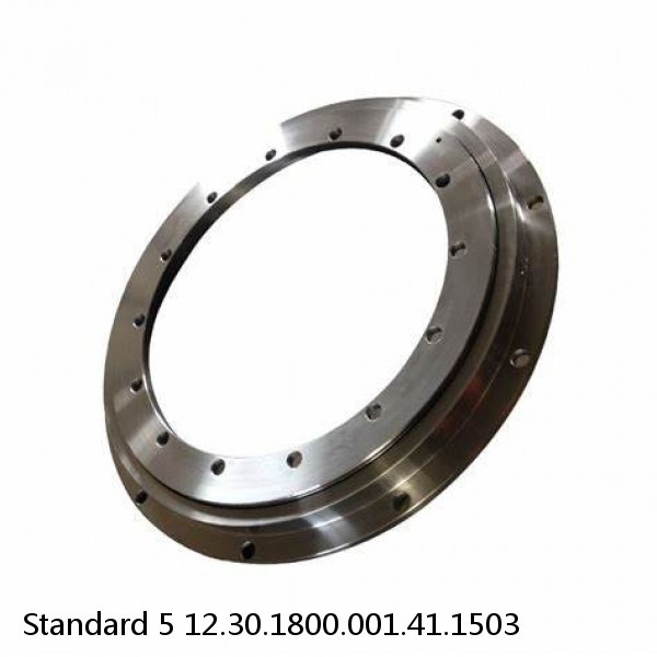 12.30.1800.001.41.1503 Standard 5 Slewing Ring Bearings