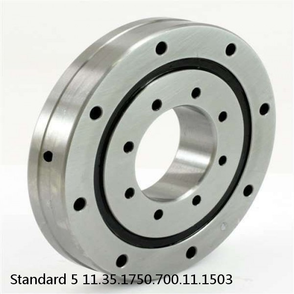 11.35.1750.700.11.1503 Standard 5 Slewing Ring Bearings