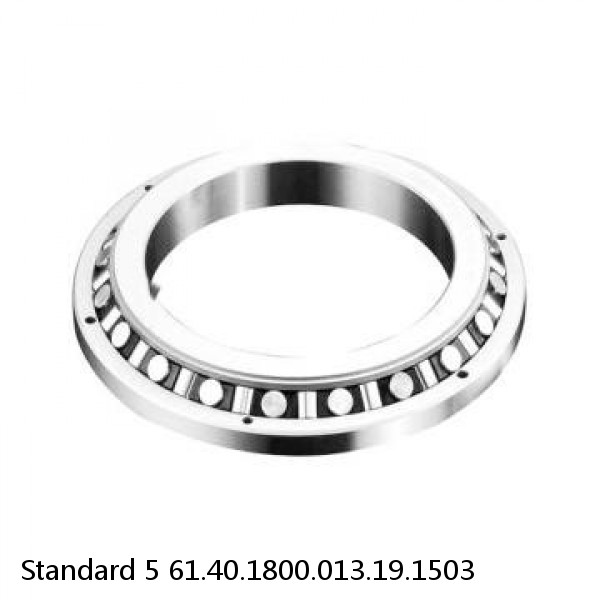 61.40.1800.013.19.1503 Standard 5 Slewing Ring Bearings