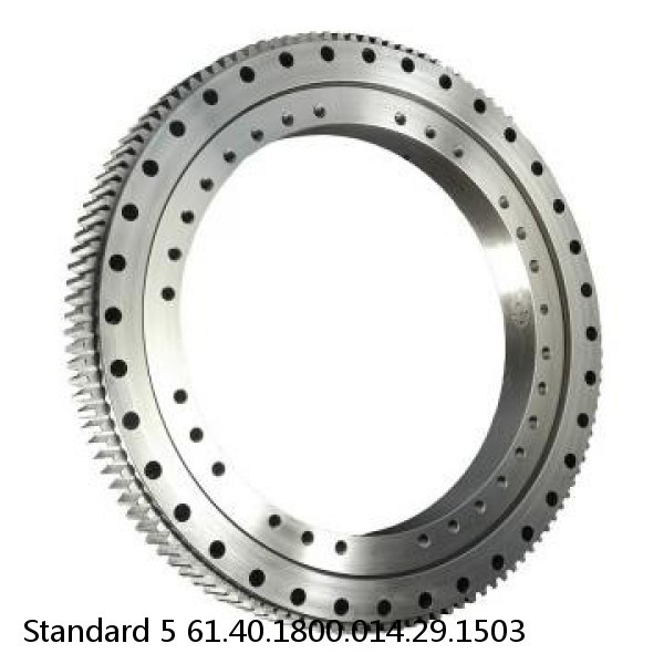 61.40.1800.014.29.1503 Standard 5 Slewing Ring Bearings