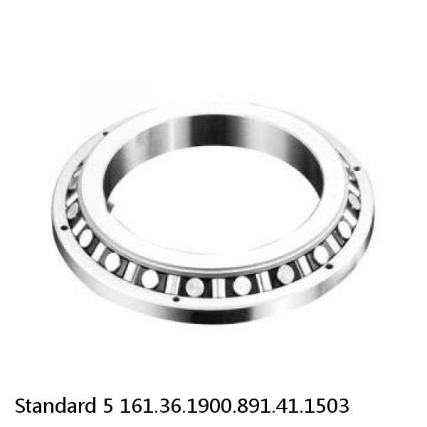 161.36.1900.891.41.1503 Standard 5 Slewing Ring Bearings