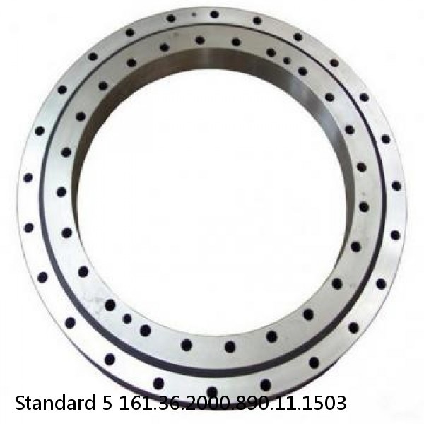 161.36.2000.890.11.1503 Standard 5 Slewing Ring Bearings