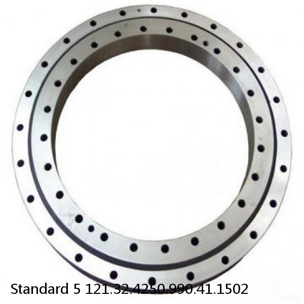 121.32.4250.990.41.1502 Standard 5 Slewing Ring Bearings