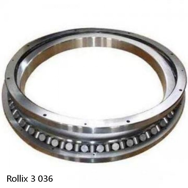 3 036 Rollix Slewing Ring Bearings