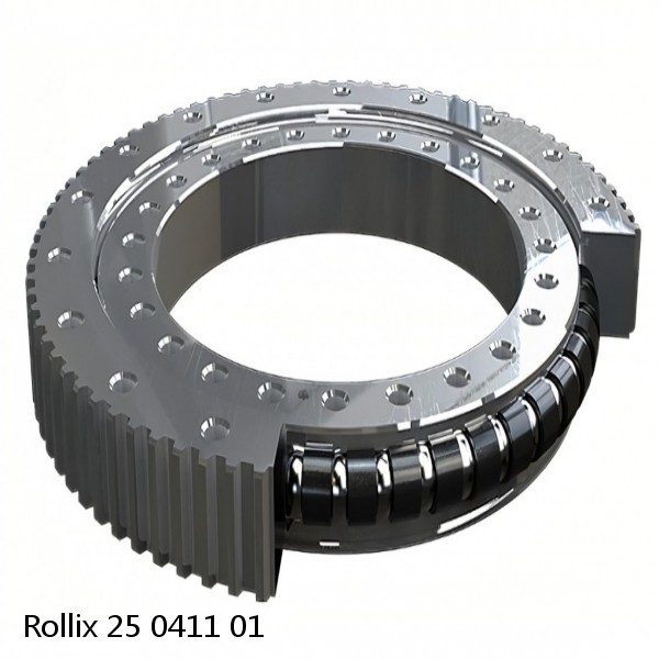 25 0411 01 Rollix Slewing Ring Bearings