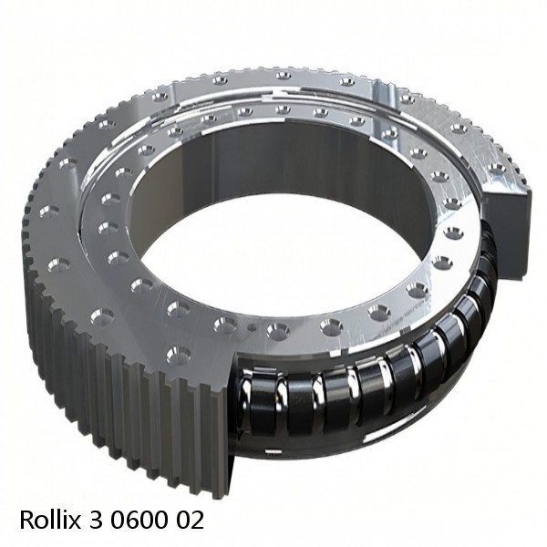 3 0600 02 Rollix Slewing Ring Bearings