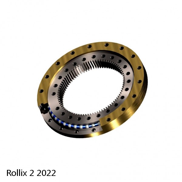 2 2022 Rollix Slewing Ring Bearings