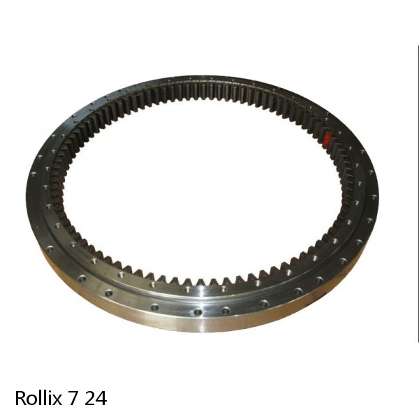 7 24 Rollix Slewing Ring Bearings