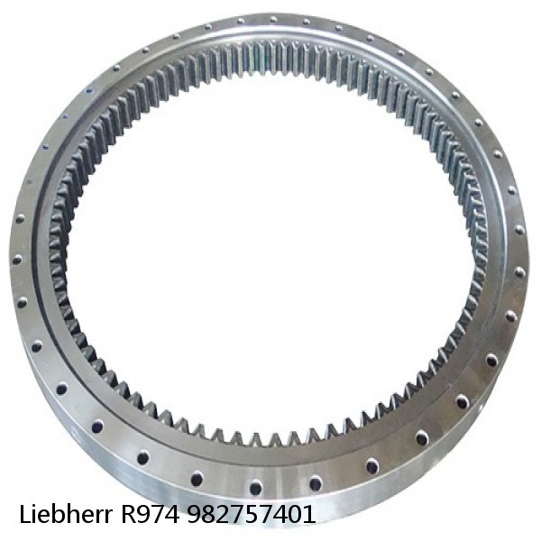 982757401 Liebherr R974 Slewing Ring