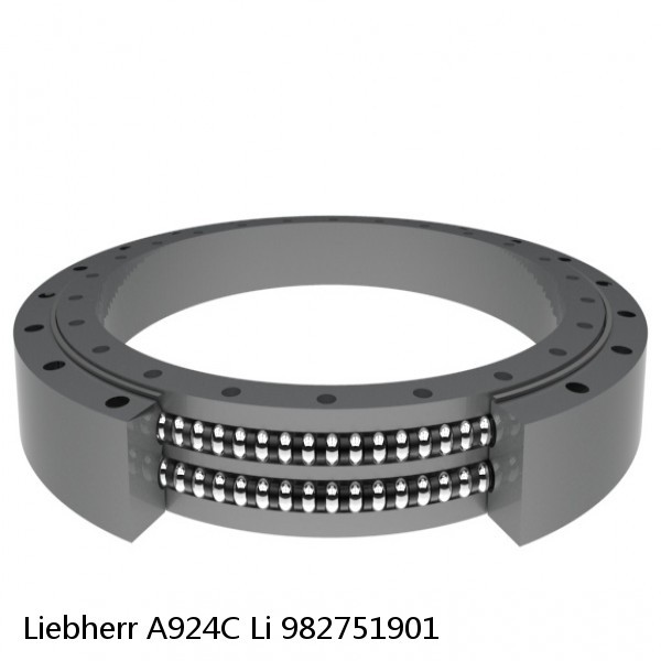 982751901 Liebherr A924C Li Slewing Ring